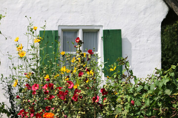 Fototapeta na wymiar Flowerpower In The Garden Of A Farmhouse