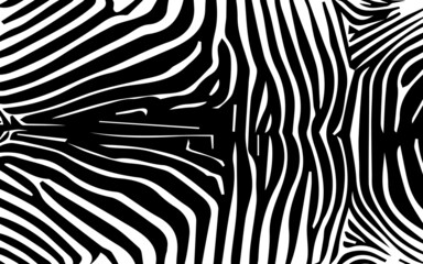 Black and white zebra stripes background. Vector illustration. Zebra pattern, stylish stripes texture. Animal natural print. For the design of wallpaper, 