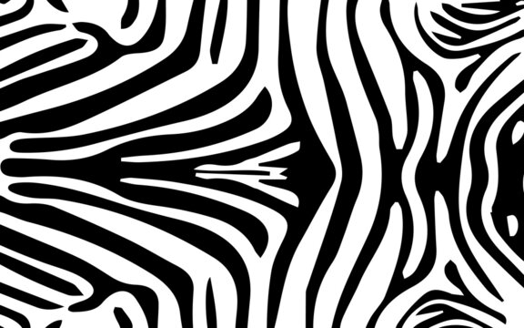 zebra animal print pattern black and white, Amazing hand drawn vector illustration. Poster, banner. Black and white artwork, 