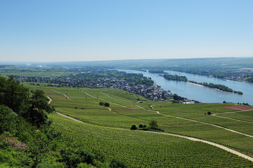 Fototapeta na wymiar Rüdesheim at Rhein