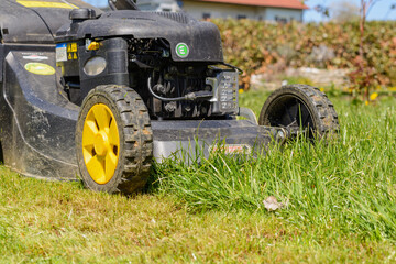Fototapeta na wymiar Lawn Mowed With A Lawn Mower - Close-up