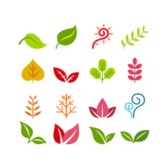 set of color leaves floral