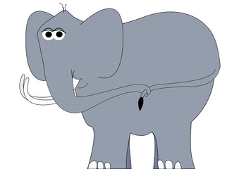 Elefant