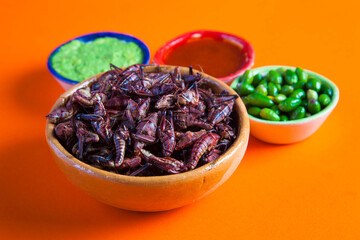 grasshoppers chapulines snack. Traditional mexican food