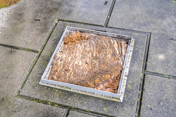 The Cesspool overflows