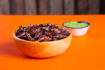 grasshoppers chapulines snack. Traditional mexican food