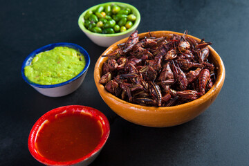 grasshoppers chapulines snack. Traditional mexican food