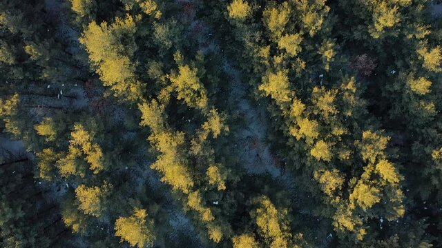 Aerial view of Kettle Moraine State forest in Wisconsin in Winter