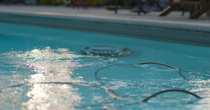 Electric Pool Cleaning Robot Cleans Swimming Pool with Power Cables Floating in Clear Reflective Water. Sunshine ripples across the water surface as the underwater vacuum robot filters chlorine below.