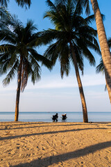 back side of  A couple travel on a beach and blue sky background,beach with palm trees