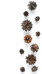 Collection of various cones on a white background. Minimalistic natural background for the winter holidays: Christmas or New Year. Top view, copy space.