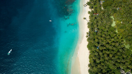 Aerial Drone Tropical Island Ocean Meets Sandy Beach & Palm Trees Tropical Escaps