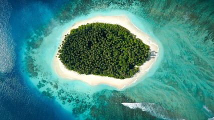Aerial Drone Island Palm Trees Tropical Ocean Reef 