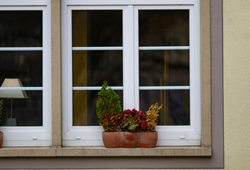 Freiburg im Breisgau, Germany - 11 01 2012: A pot of flowers on the windows of the house. A cozy apartment behind glass, a lamp is lit. photo from the street