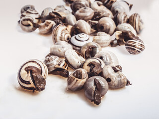 cooked snails, escargots served rustic