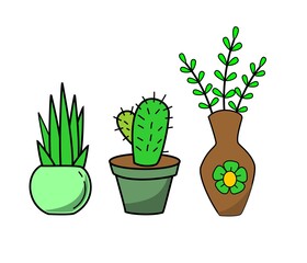 plant in vase stock vector illustration