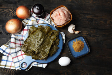 Raw ingredients for dolmades: grape leaves, onions, minced meat, garlic, spices, egg and salt