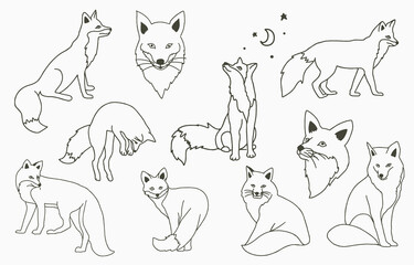 Black line object collection with fox,moon,star