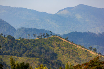 Fototapeta na wymiar Natural forest, rich in the Mae Wong mountain range, Thailand.