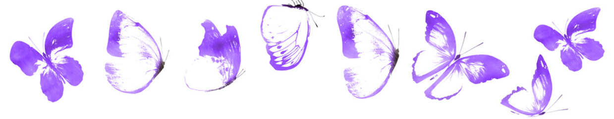 Color watercolor abstract eight butterflies as imprint, isolated on white background