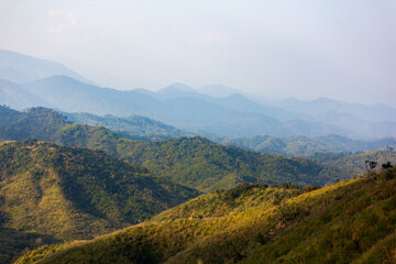 Natural forest, rich in the Mae Wong mountain range, Thailand.