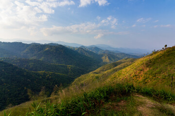 Natural forest, rich in the Mae Wong mountain range, Thailand.