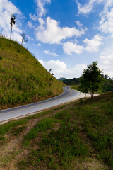 Natural forest, rich in the Mae Wong mountain range, Thailand.