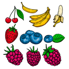 Set of Illustrations of fruits and berries in engraving style. Design element for poster, card, banner, sign. Vector illustration