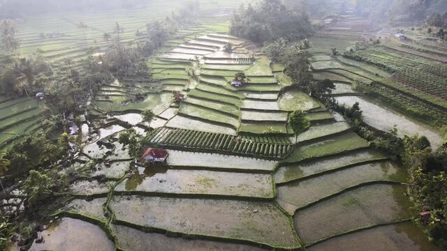 moment after sun rise in padi rice terrace of Wanayasa, Purwakarta - West Java, Indonesia