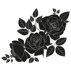 Floral background. A sketch of a branch of roses.