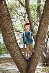 Cute preschooler boy climbed a tall tree in the city Park.