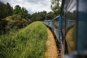 Train in Sri Lanka. Train running through the forest