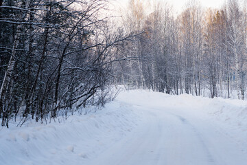 Obraz premium winter countryside road through snow covered trees