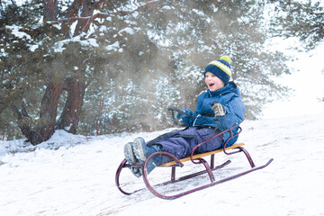 Boy sledding in a snowy forest. Outdoor winter fun for Christmas vacation.