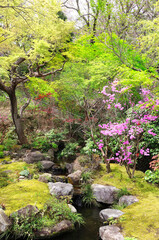 Fototapeta na wymiar Decorative garden, Hasedera temple, Kamakura, Japan