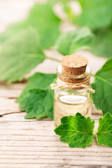 patchouli essential oil in the glass bottle, with fresh patchouli leaves, on the wooden board.