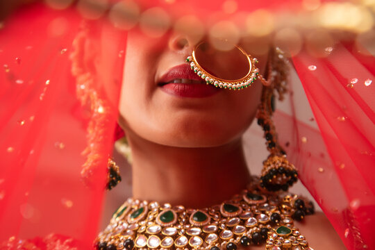 Beautiful Indian Bride, with a veil.	
