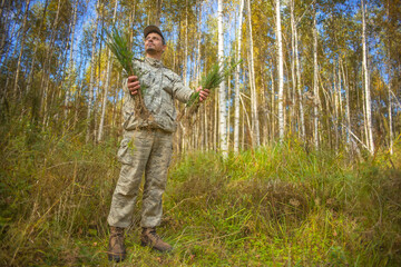 The forester holds young tree seedlings in his hands. The concept of reforestation after felling.