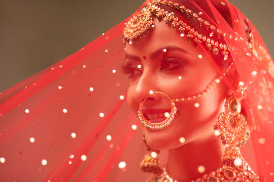 Beautiful Indian Bride under a veil
