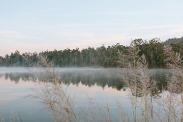 Selective focus.Beautiful nature and fog on the reservoir in Khao Yai National Park Thailand.