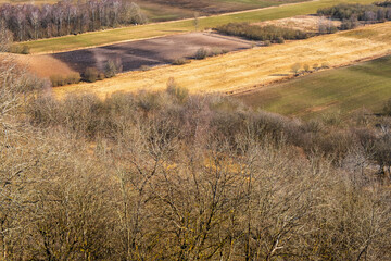 Fototapeta premium Rural landscape view with bare trees