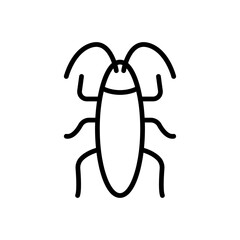 cockroach