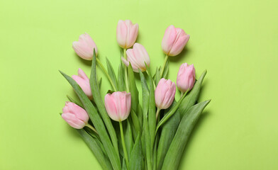 Beautiful tulip flowers on color background