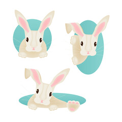 Set of Cute Rabbit characters. Happy Easter Bunny peek out of burrow isolated on white background. Vector illustration.