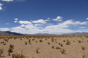 Fototapeta na wymiar Andes Valley 