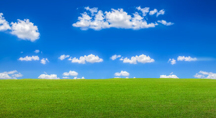 Fototapeta premium summer landscape scenic view with green meadow and bluesky.