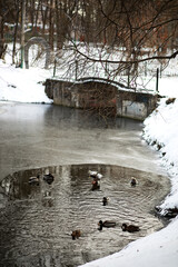 Winter landscape of country fields and roads