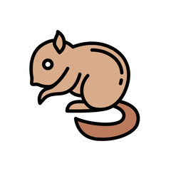 squirrel
