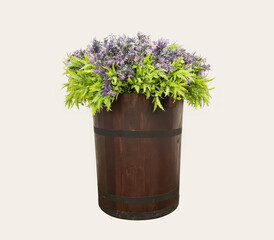 Big purple green plant pot on white isolated background