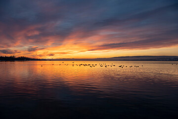 Sonnenaufgang über dem Bodensee